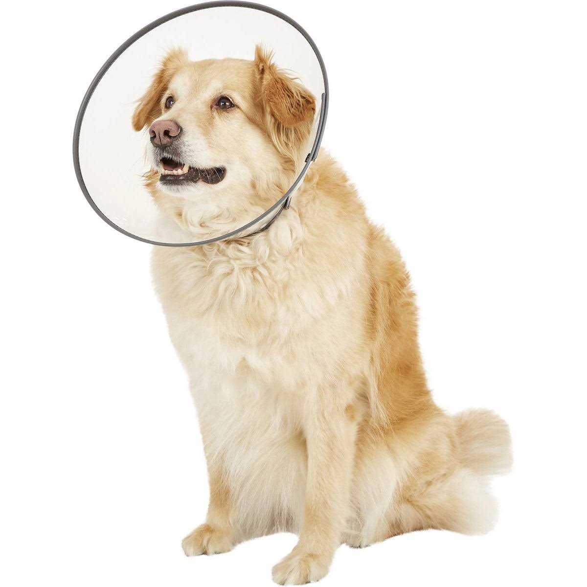 Clear XXL E-Collar R86061