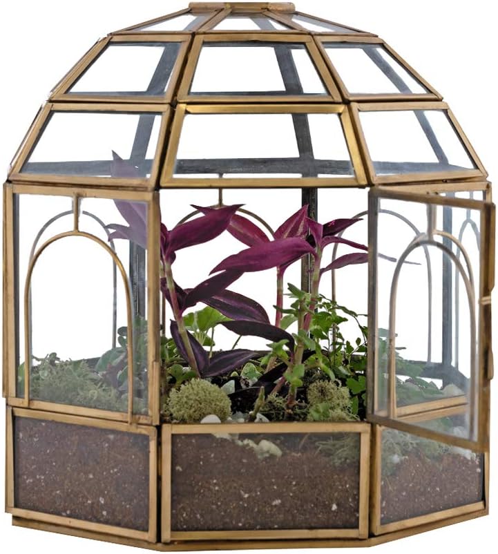 Large Glass Terrarium 10 x 9 x 9 Black K54778