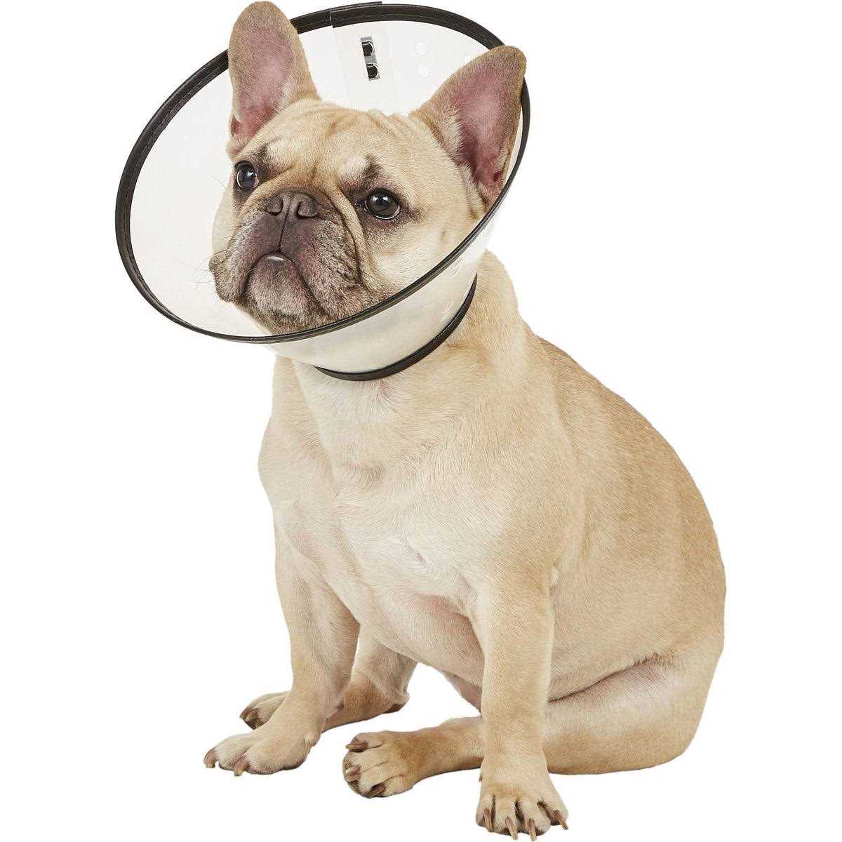 Clear XXL E-Collar R86061