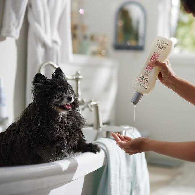 Dog Detangling Shampoo U5266
