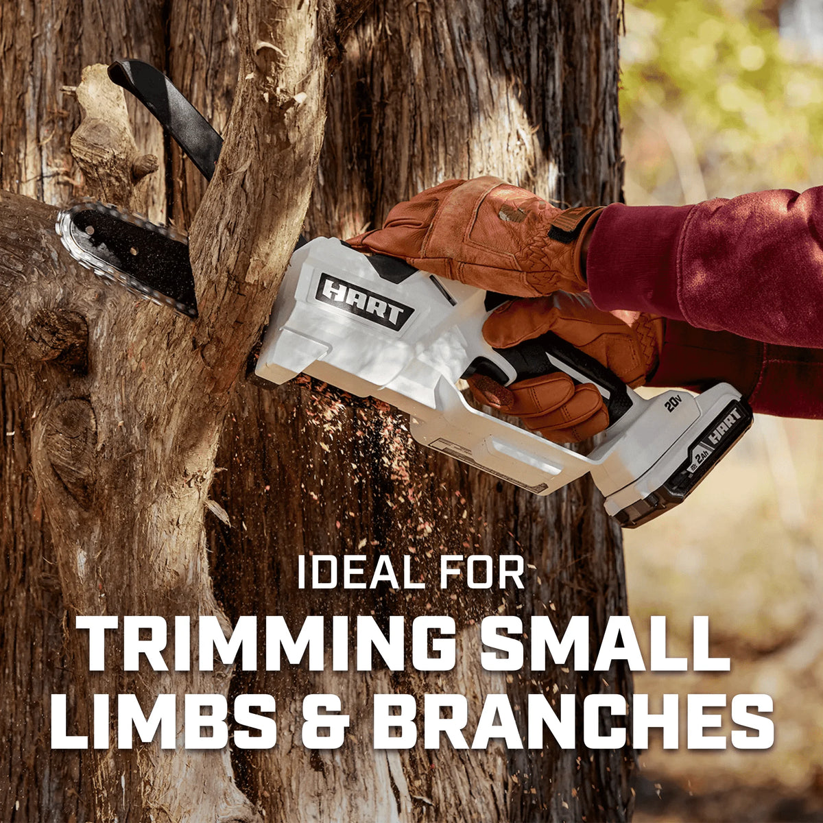 6-inch Battery-Powered Pruning Saw Kit D5282