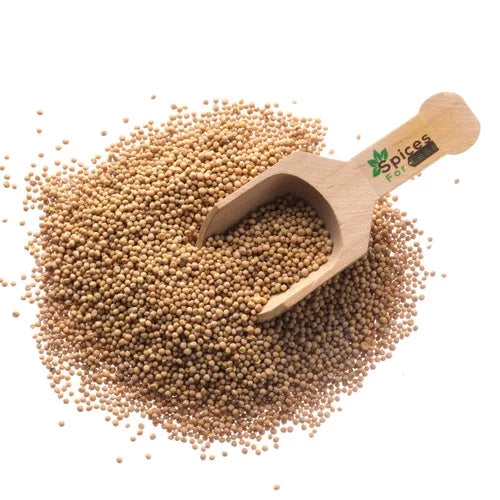 Mustard Seeds Whole Yellow 25 lbs I464