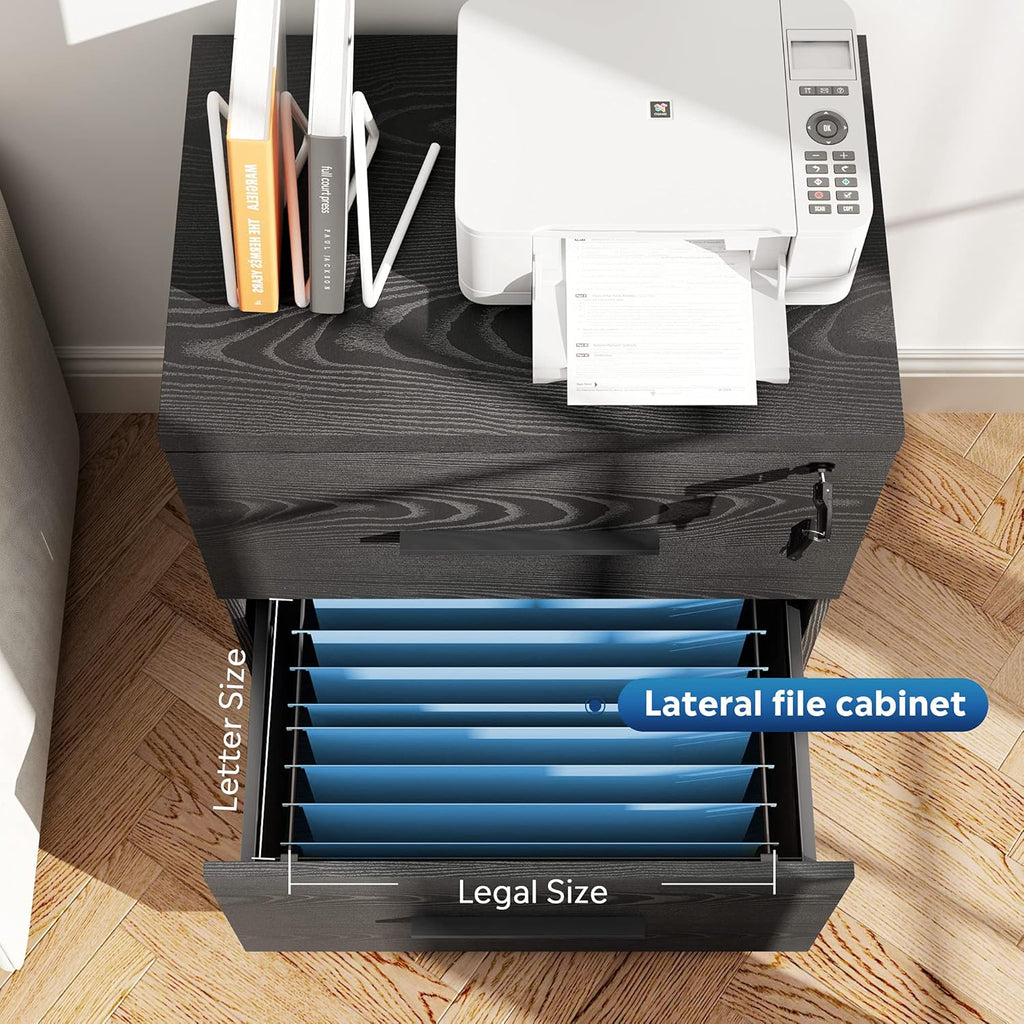 Black 2-Drawer Wood Lateral File Cabinet with Lock K3624