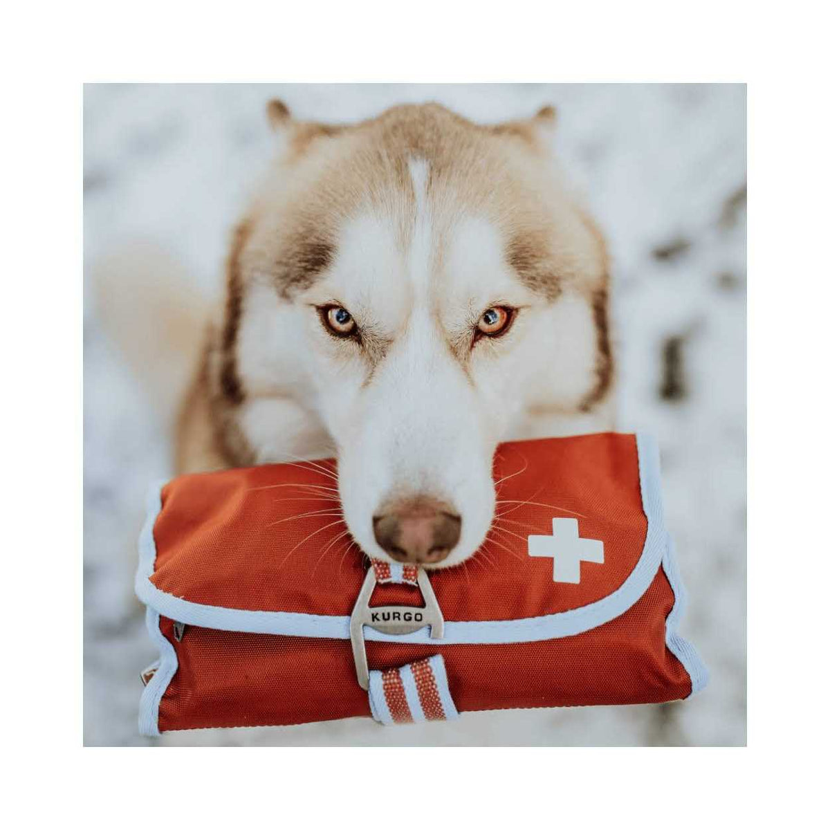 First Aid Kit S877
