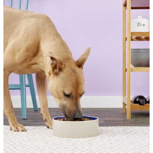 Dog Dish A397600