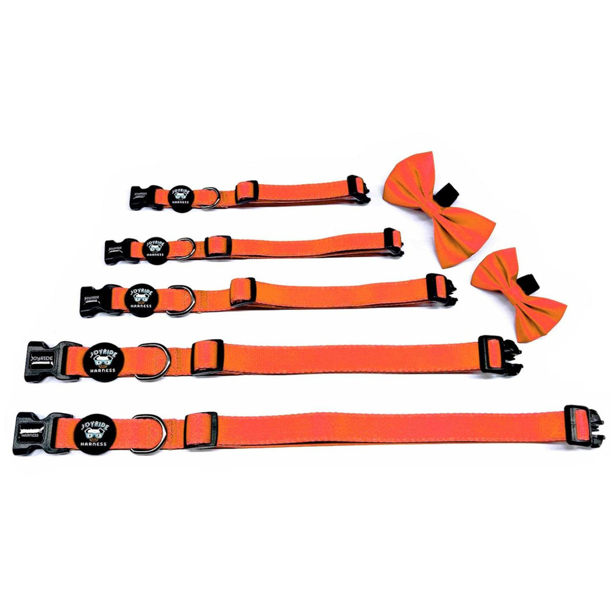 Dog Collar with Removable Bow Tie B23853