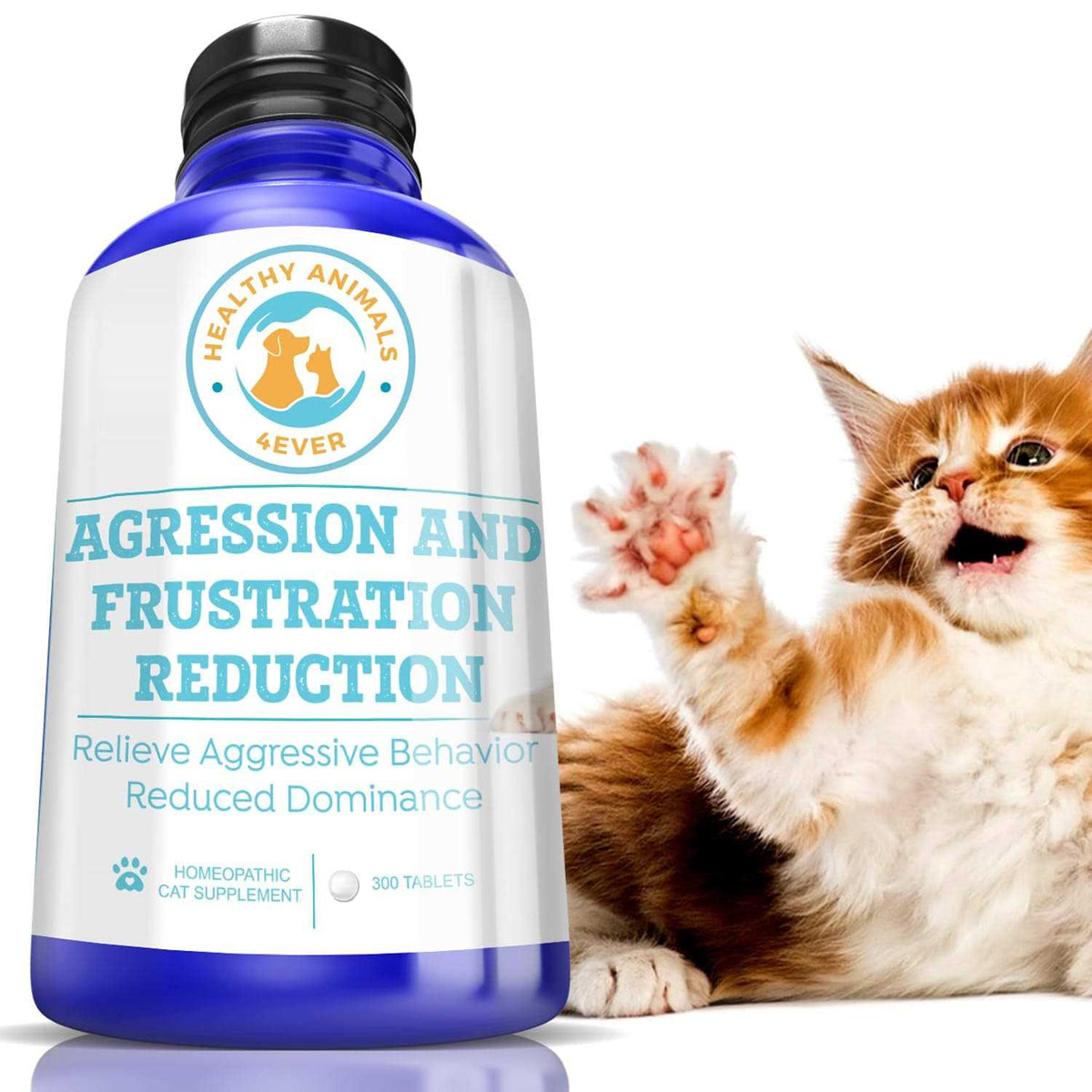 Aggression and Frustration Reduction K6441
