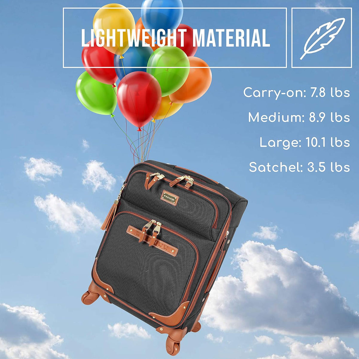 Lightweight Softside Expandable 20 Inch Carry On Bag with 4-Rolling Spinner Wheels N926