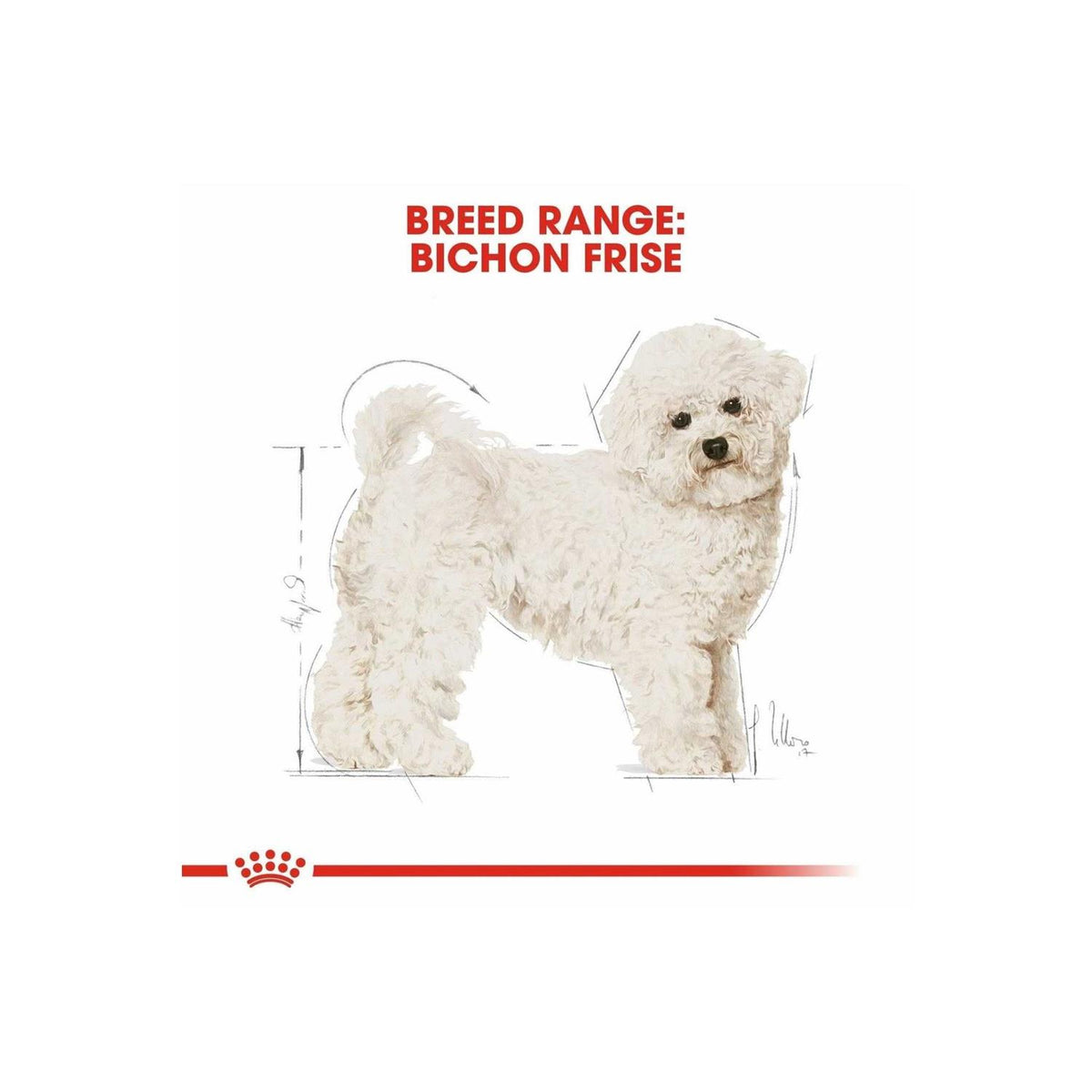 Adult Bichon Frise Dry Dog Food A488