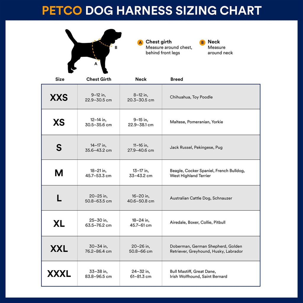 Big Black Dog Harness P8443