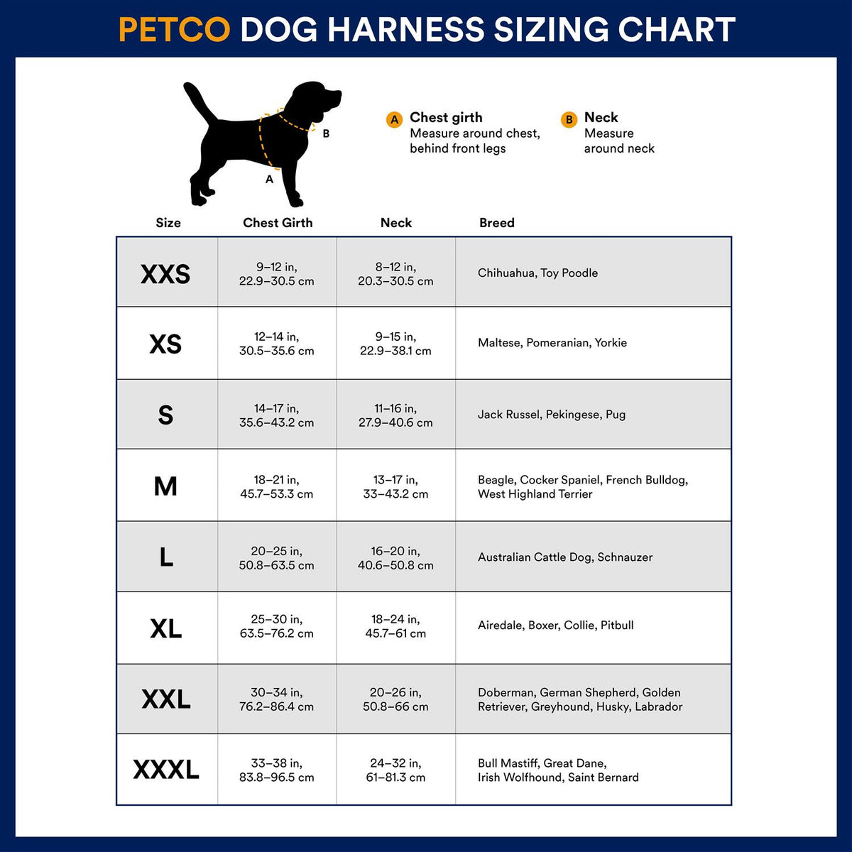 Big Black Dog Harness P8443