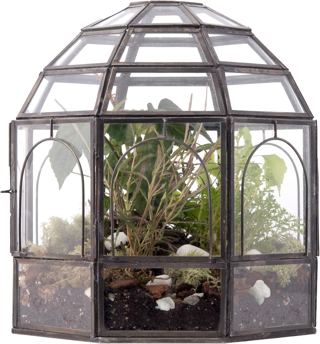 Large Glass Terrarium 10 x 9 x 9 Black K54778