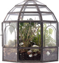Large Glass Terrarium 10 x 9 x 9 Black K54778