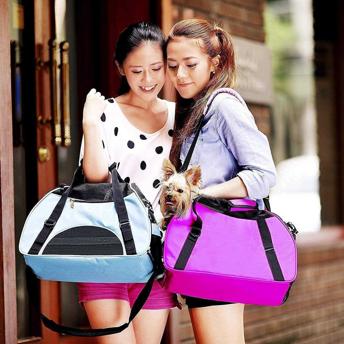 Soft-Sided Pet Travel Carrier R254139