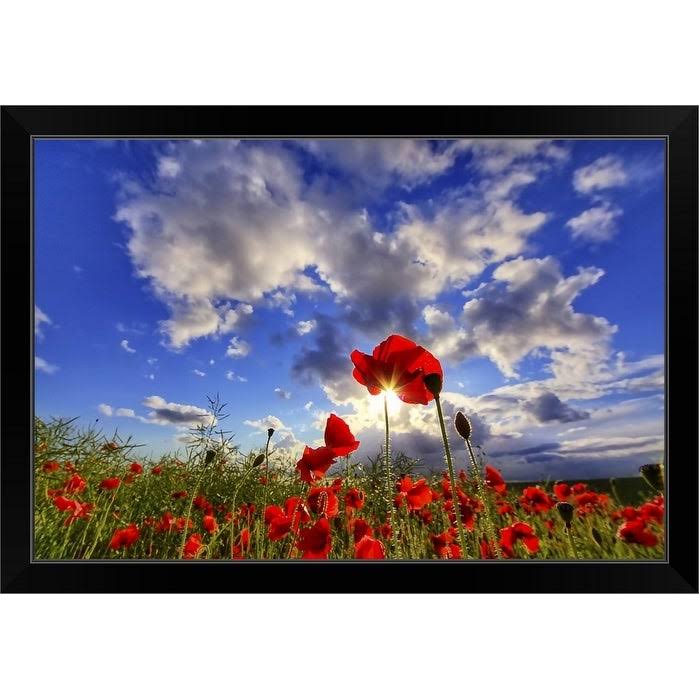 Black Framed Print - 24 x 16 L93109