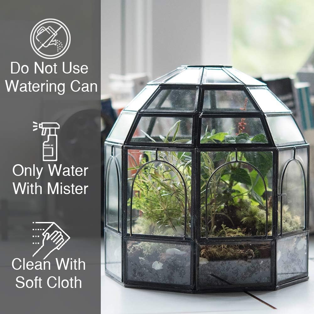 Large Glass Terrarium 10 x 9 x 9 Black K54778