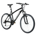21 Speed Aluminum Mountain Bike R160220