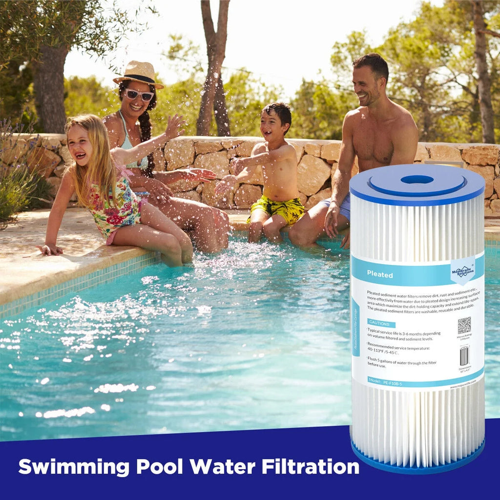 10" x 4.5" Pleated Sediment Water Filter Replacement, Pack of 2 S799196