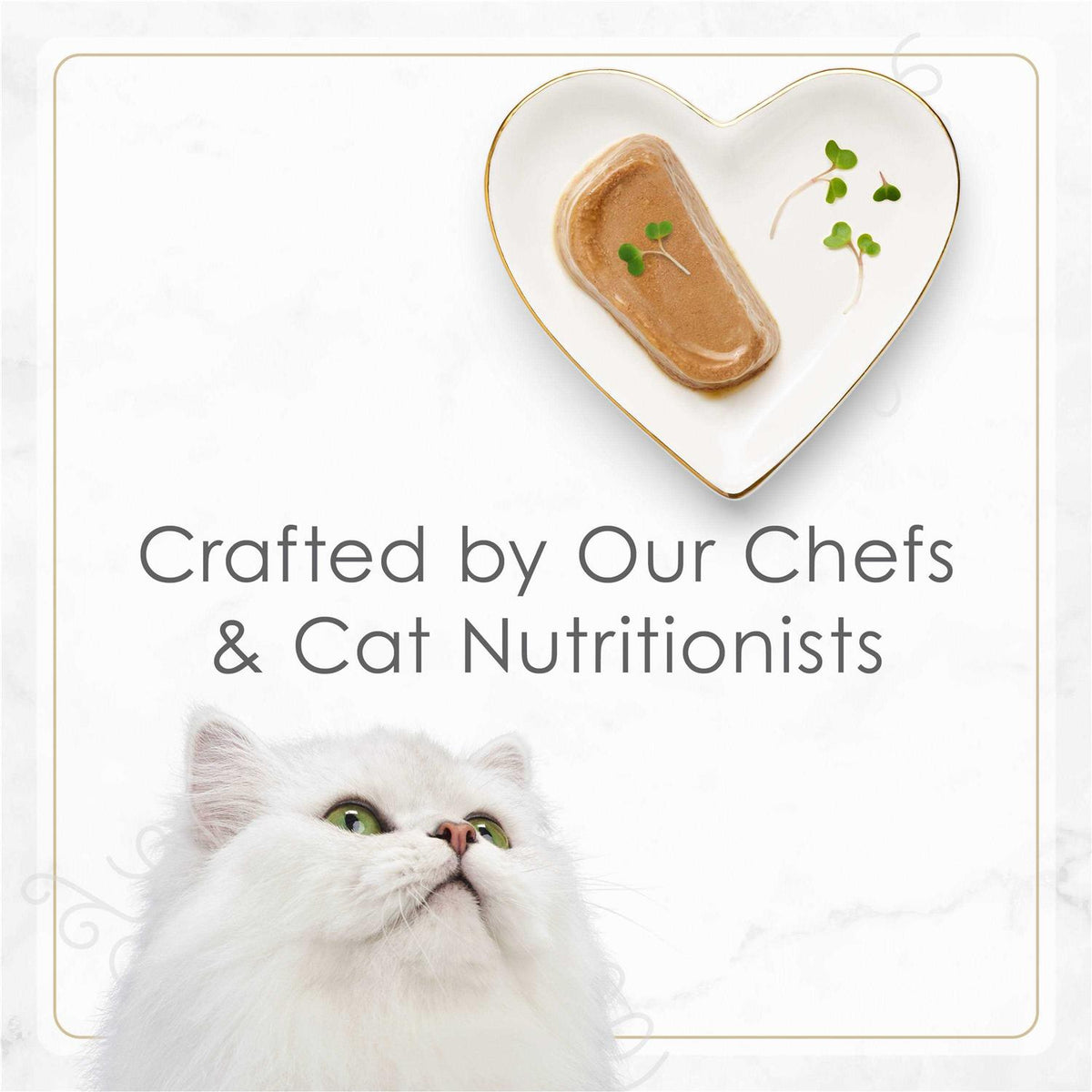 Tender Turkey Pate Wet Cat Food R788262
