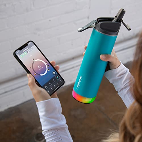 Insulated Stainless Steel Smart Water Bottle with Straw Lid, 21 oz D64766