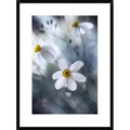 Framed Photographic Print E37212