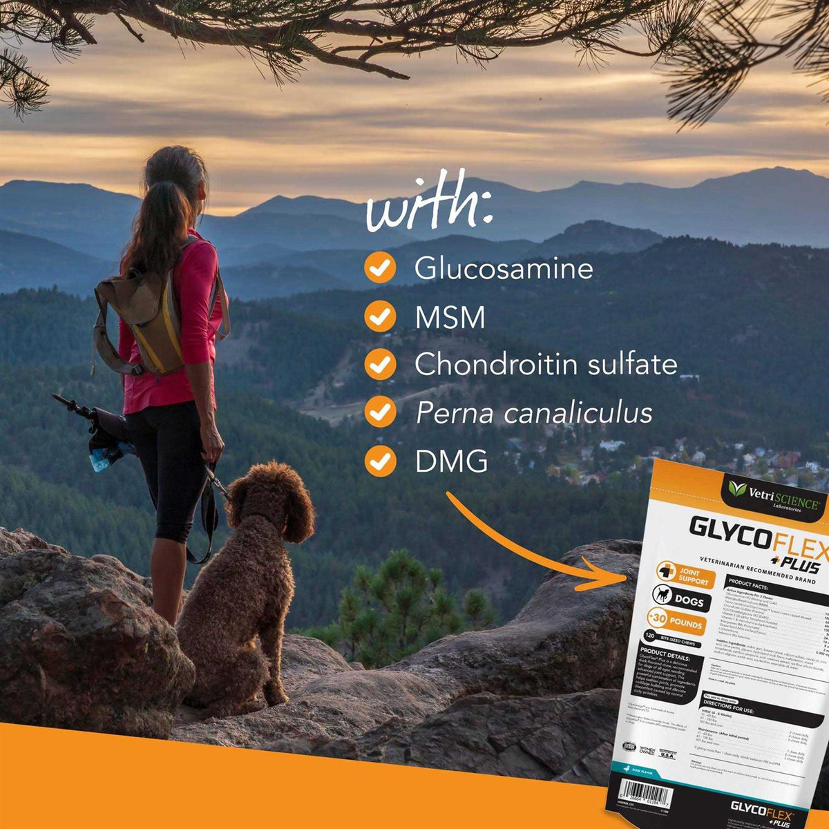 GlycoFlex Plus for Dogs V961401