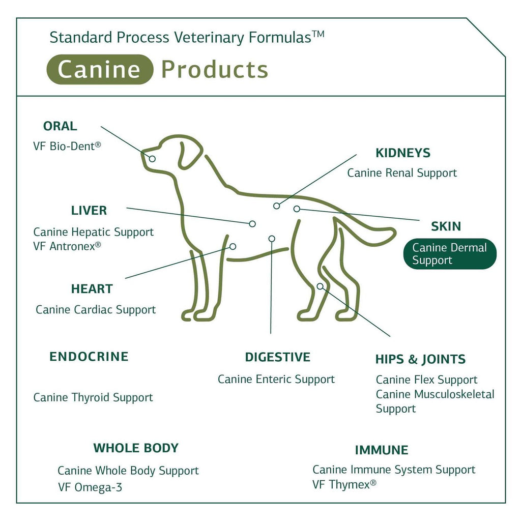 Canine Dermal Support Pet Supplies L3914