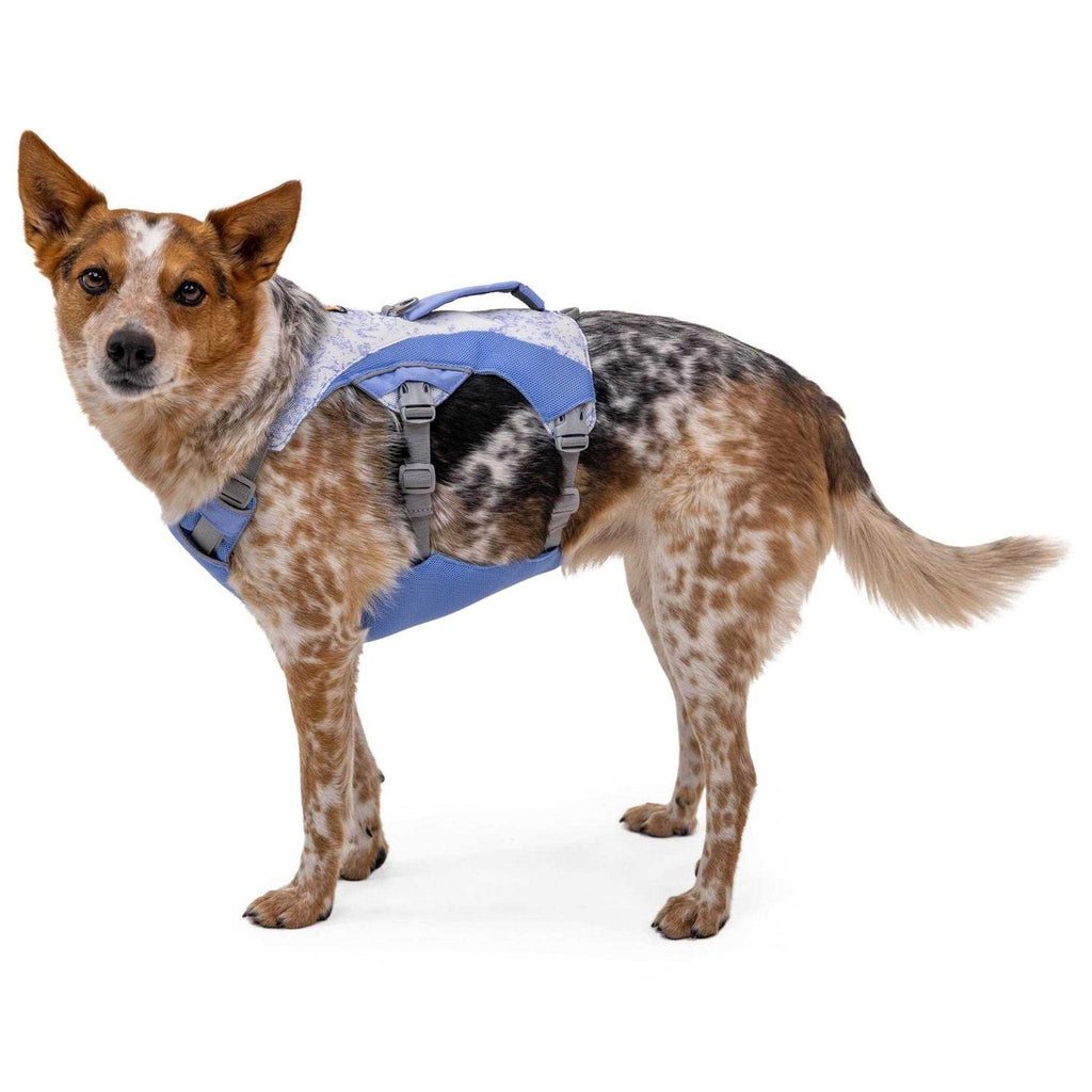 Dog Harness H808