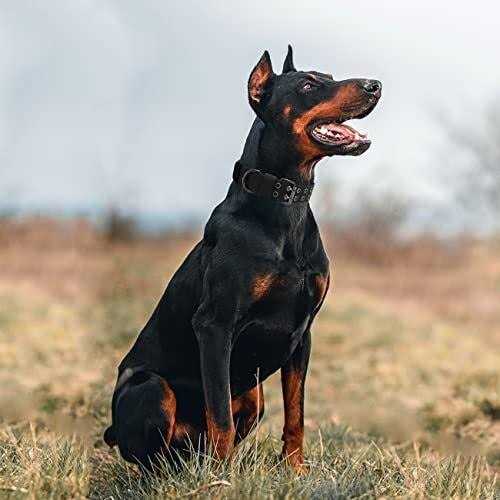 Nylon Adjustable Heavy Duty Tactical Dog Collar W51059