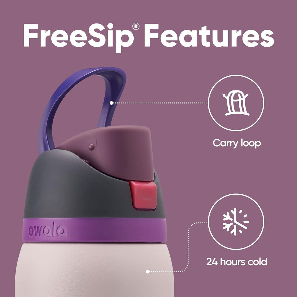 24oz 32oz Insulated Stainless Steel Water Bottles with Straw and Spout T87570