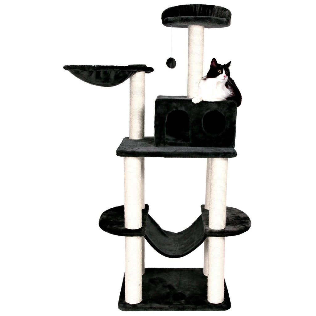 Cat Playground B624796