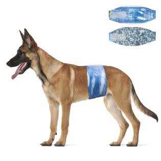 Male Disposable Dog Diapers 48 Count S4703