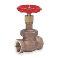 1/4 in. Globe Valve G5760