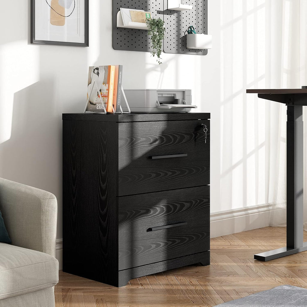 Black 2-Drawer Wood Lateral File Cabinet with Lock K3624
