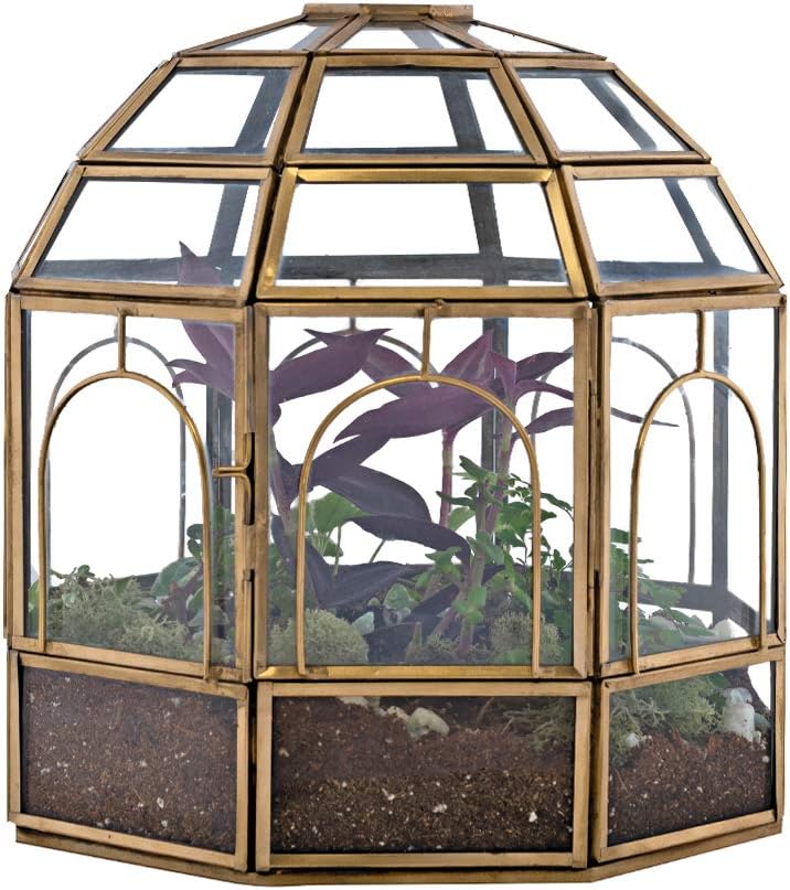 Large Glass Terrarium 10 x 9 x 9 Black K54778