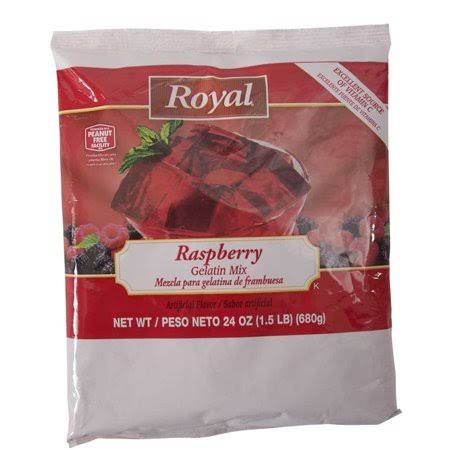 Raspberry Gelatin 24 Ounce G1845