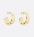 Earrings Z5879