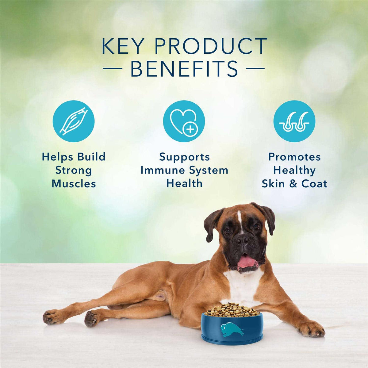 Grain-Free Lamb Recipe Dry Dog Food D182074