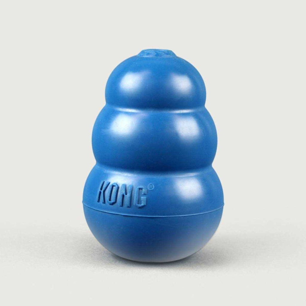 Blue Dog Toy A313111