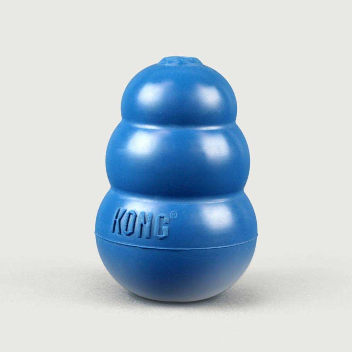 Blue Dog Toy A313111
