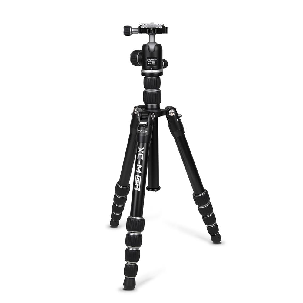 Silver Professional Tripod Kit with Head Z819