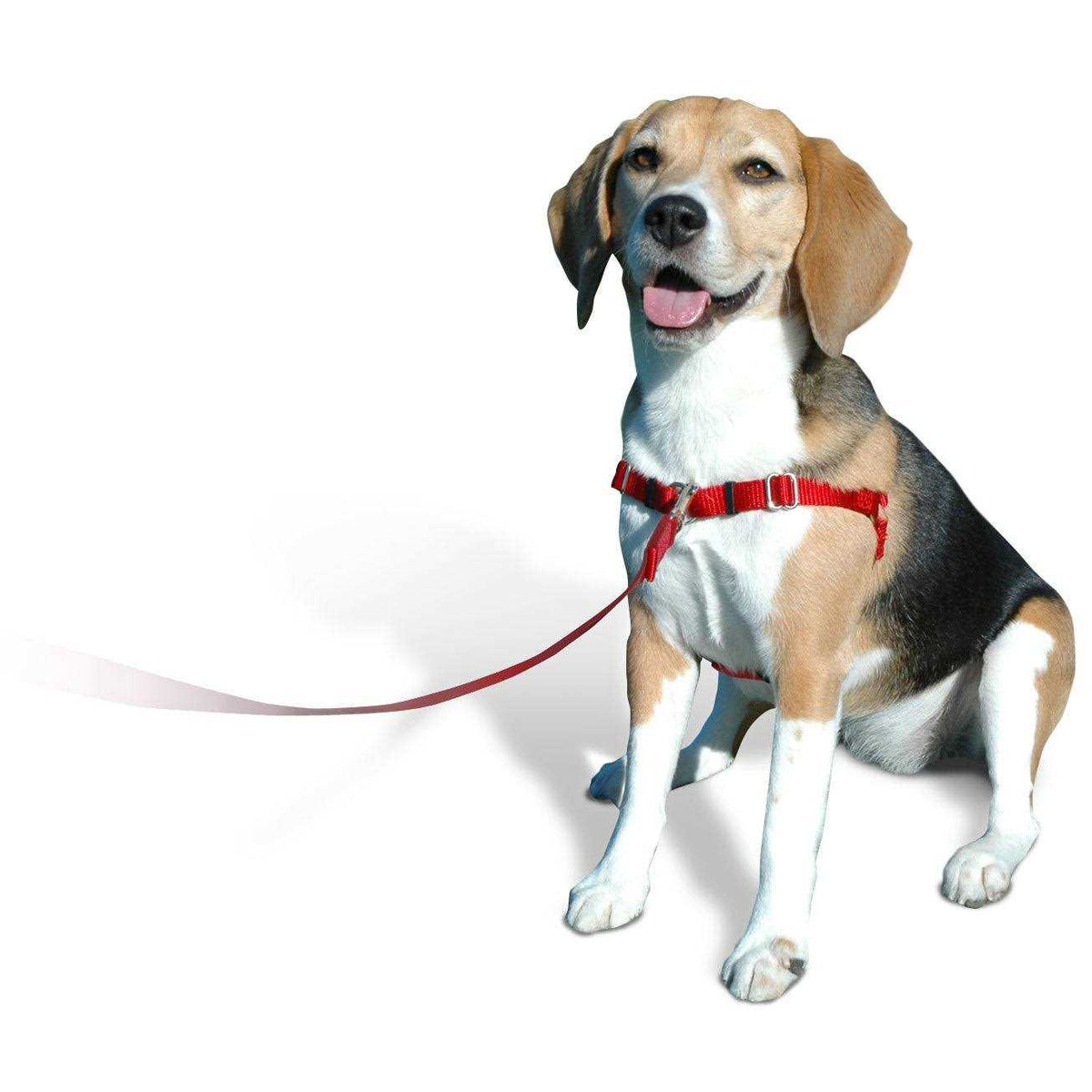 No Pull Dog Harness Z8571