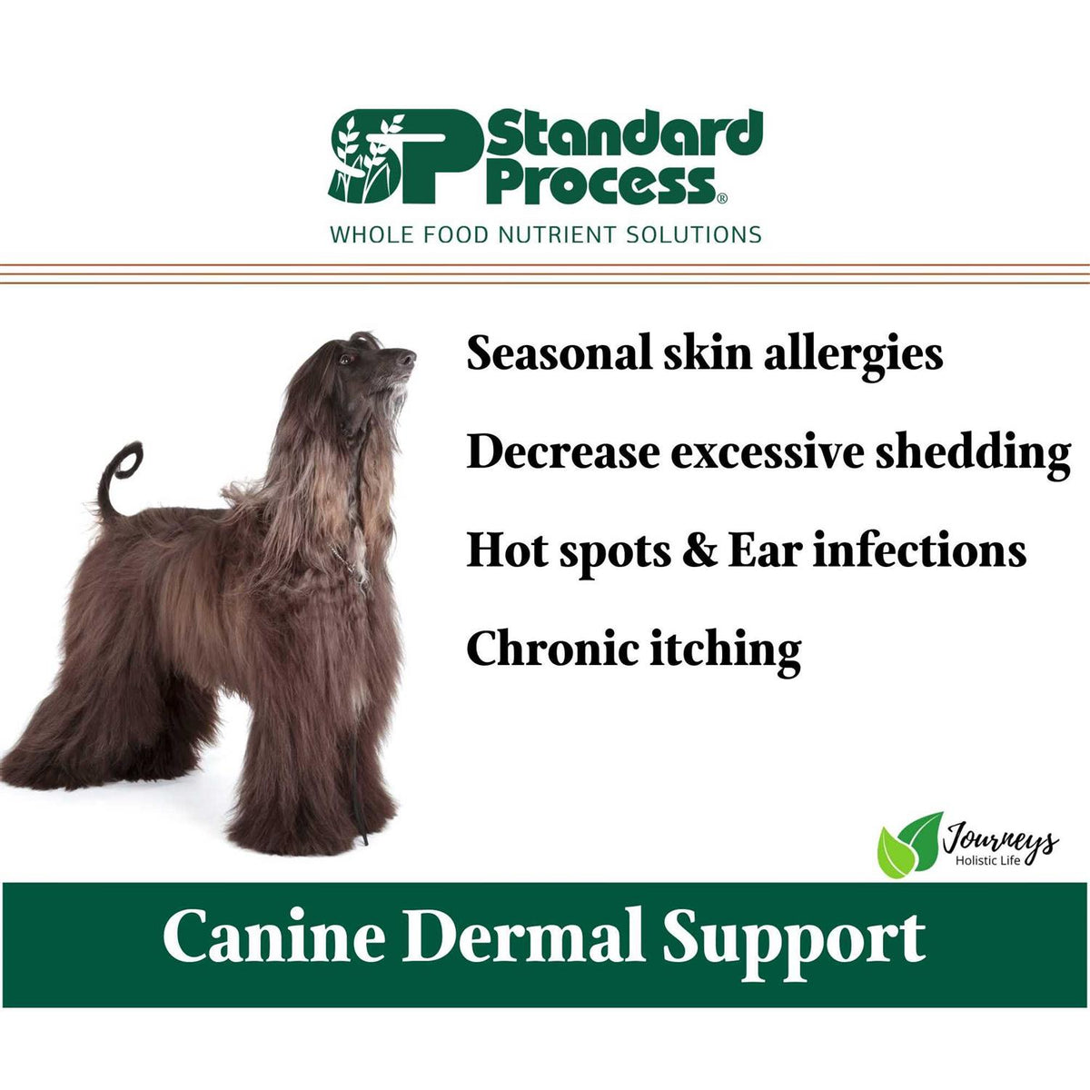 Canine Dermal Support Pet Supplies L3914