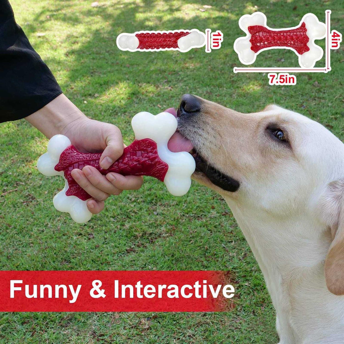 Tough Dog Toys for Aggressive Chewers Large Breed J64794