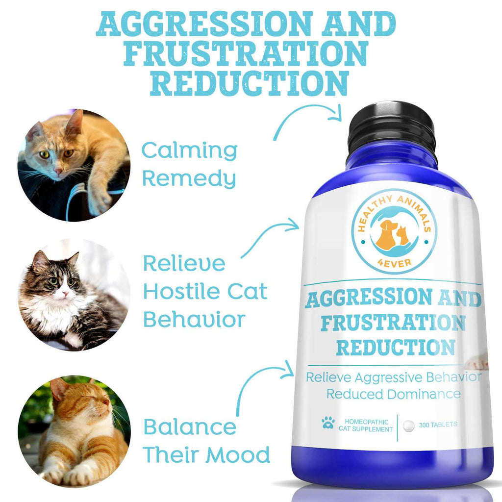 Aggression and Frustration Reduction K6441