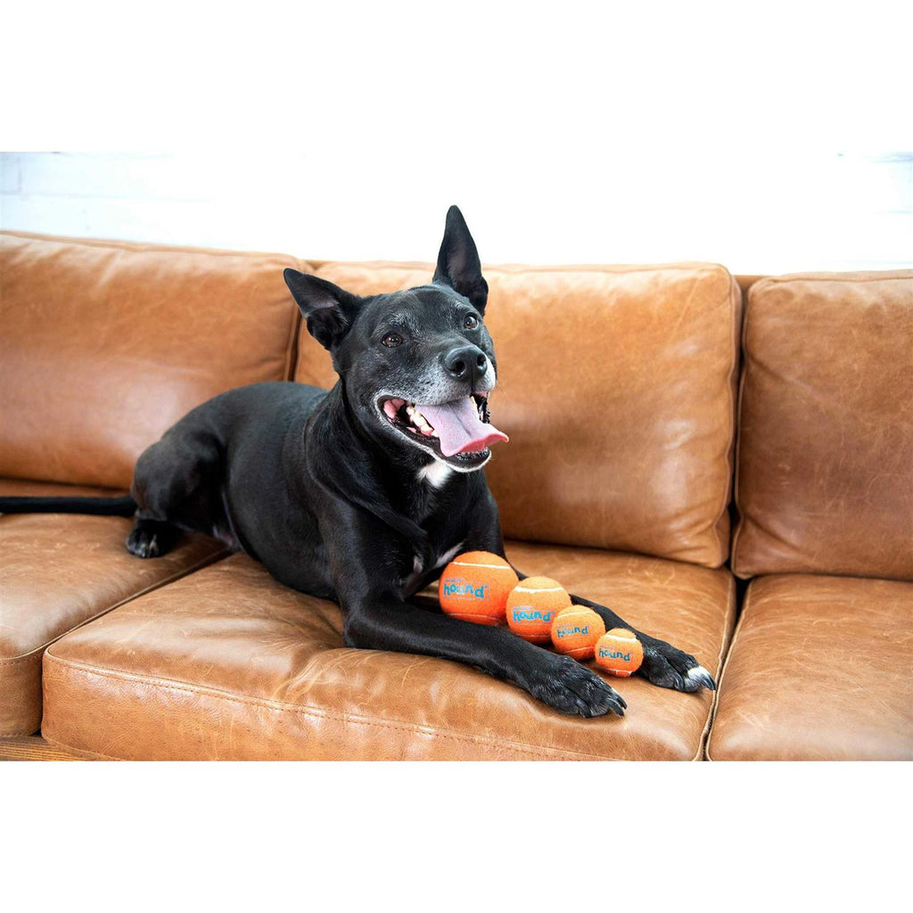 Dog Toy Z192726