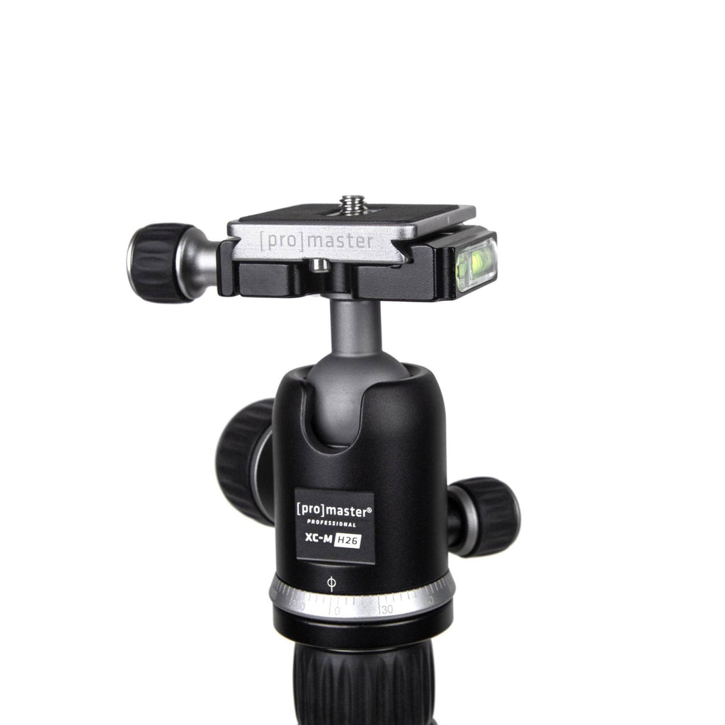 Silver Professional Tripod Kit with Head Z819