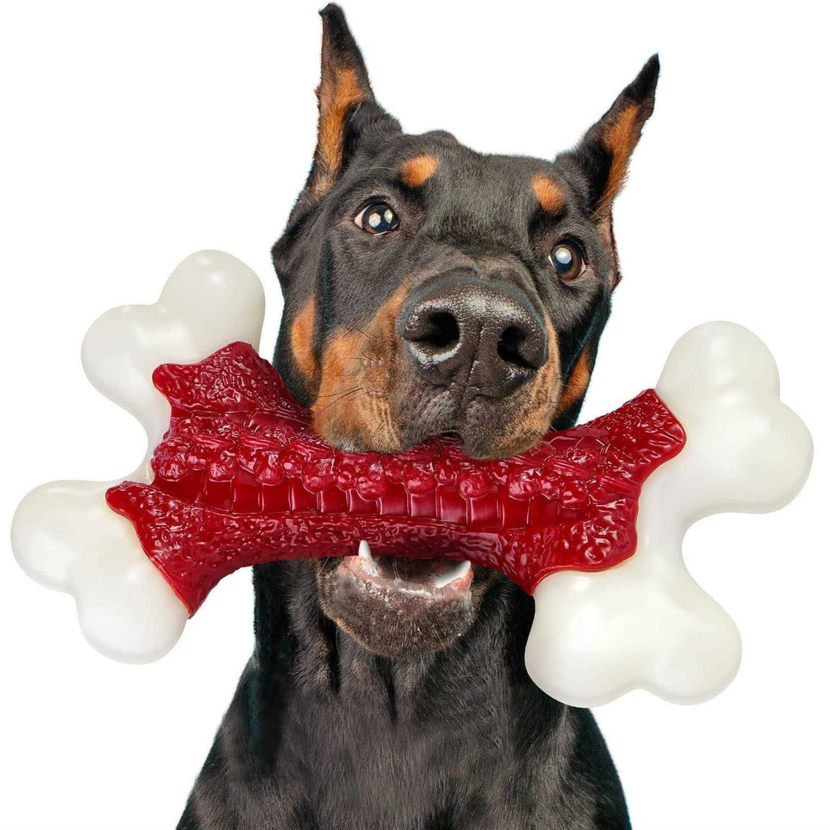 Tough Dog Toys for Aggressive Chewers Large Breed J64794