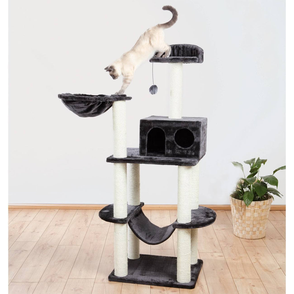 Cat Playground B624796