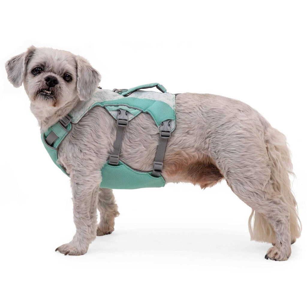 Dog Harness H808